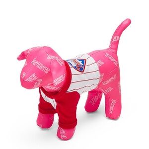 I am searching for the Victoria’s Secret Phillies plush dog with the Jersey.